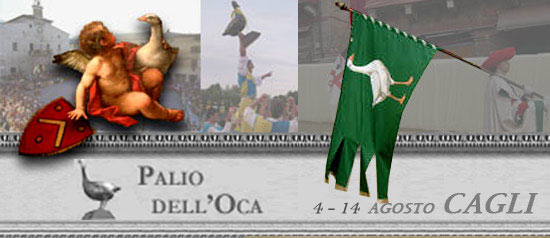 Palio dell'oca